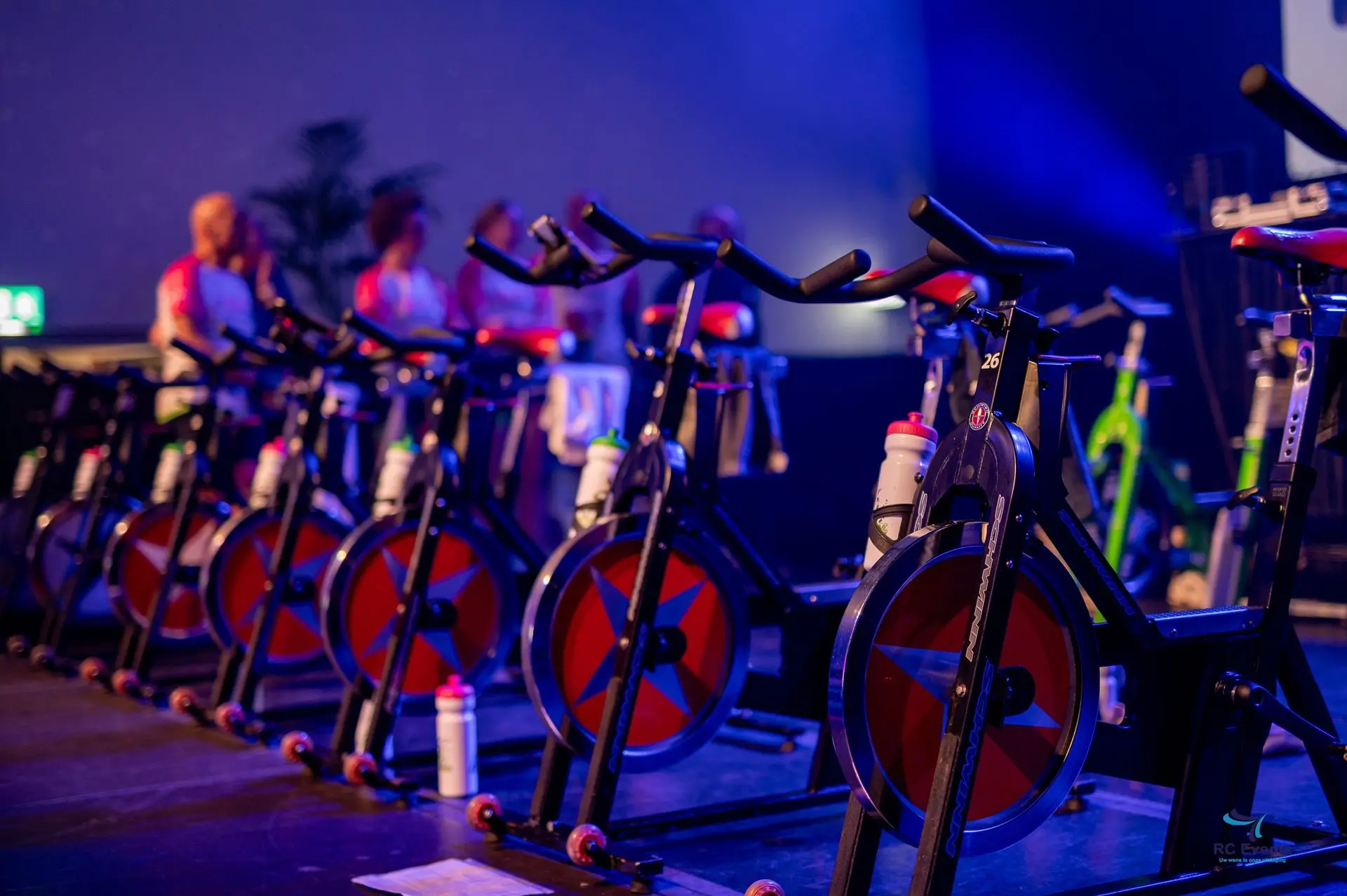 Spinnen in de Bullekerk